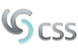 CSS Logo